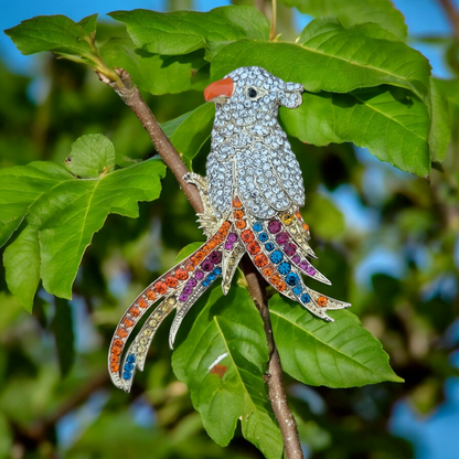 Birdy