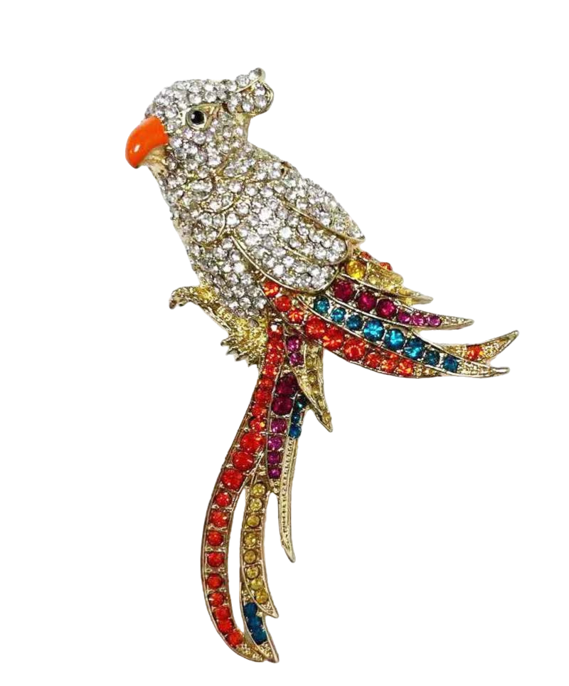 Birdy