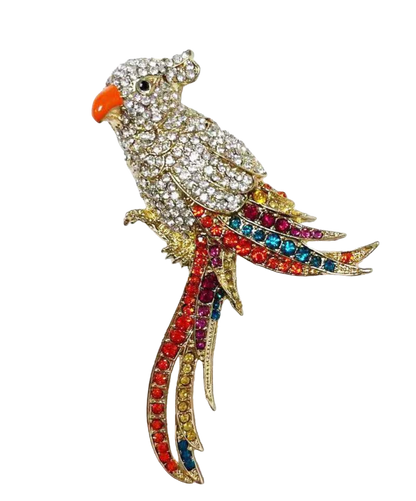 Birdy