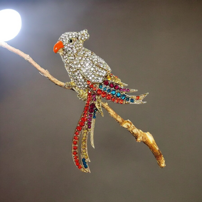Birdy