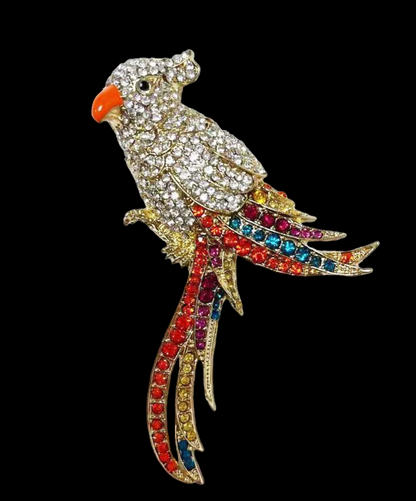Birdy