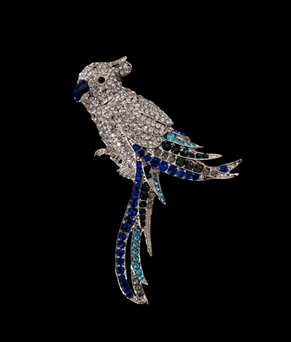 Birdy